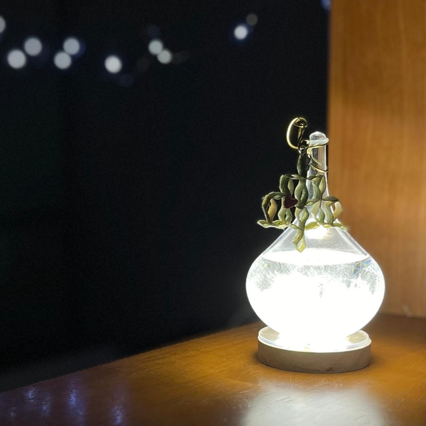 ◆クリスマスツリー◆ヒノキが描くストームグラスの雫ライト1枚目の画像
